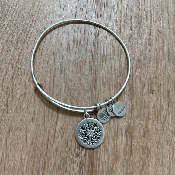 ALEX AND ANI | Bundle of Winter Charm Bracelets - Picture 4 of 5